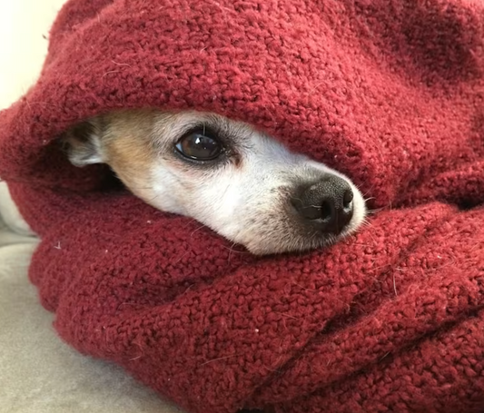 💡 Hogyan csökkentsd a fűtésszámlád?